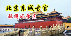 啊啊操我骚逼视频中国北京-东城古宫旅游风景区